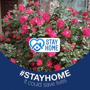 Meet your Posher, Sherry